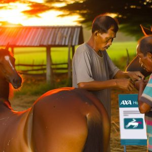 Protégez votre cheval avec Axa: découvrez comment!