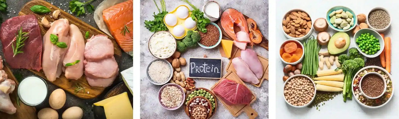 découvrez la liste des aliments riches en protéines pour varier votre alimentation, favoriser la musculation et améliorer votre santé au quotidien.