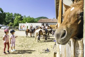 découvrez nos conseils pratiques pour réussir l'élevage de poneys : alimentation, soins, santé, éducation et bien-être pour éleveurs débutants et expérimentés.