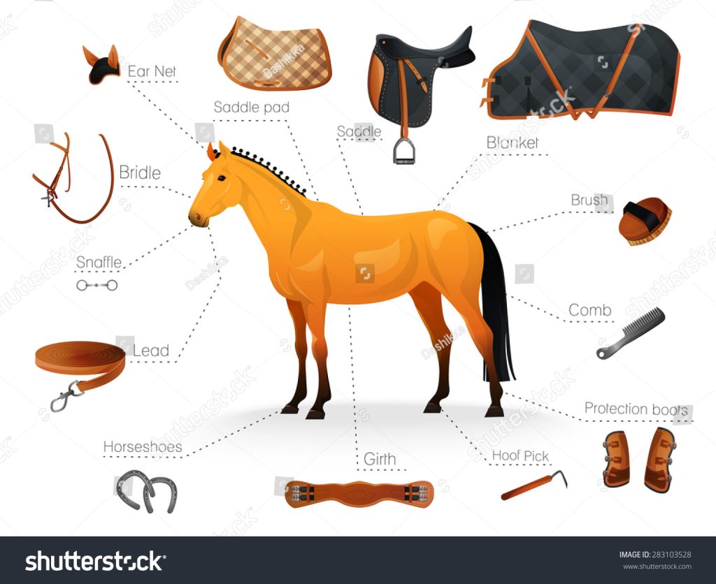 découvrez notre sélection d’équipements pour cheval : selles, brides, protections, et accessoires essentiels pour le confort et la performance de votre cheval. idéal cavaliers débutants et confirmés.