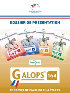 découvrez le fonctionnement de la ffe compét et profitez de conseils pratiques pour bien organiser et réussir vos compétitions équestres. guide complet pour les cavaliers et organisateurs.