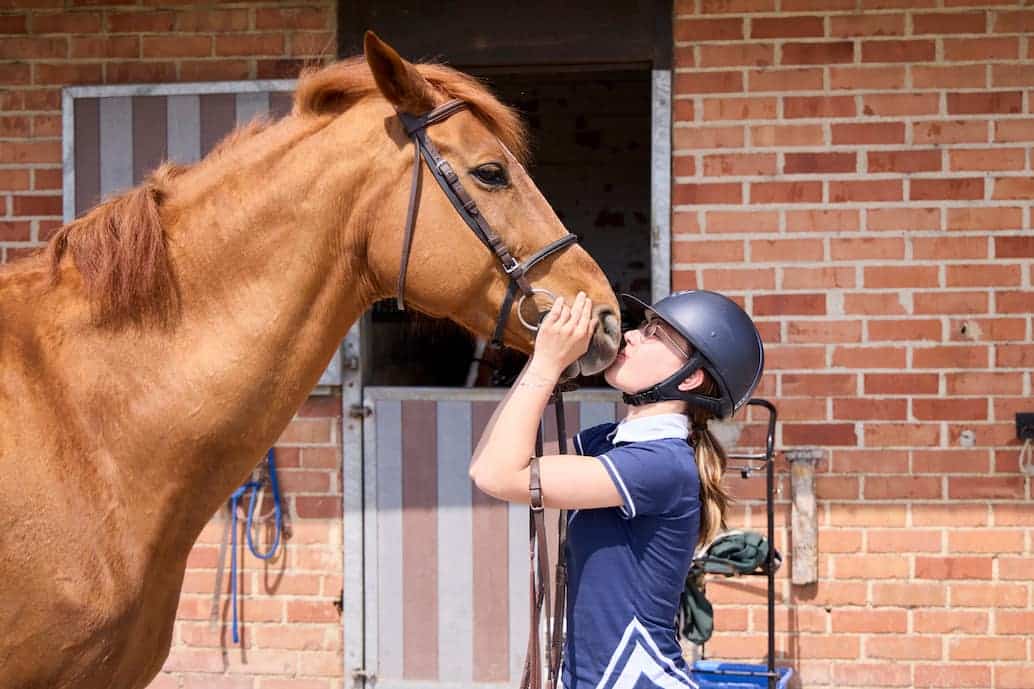 découvrez le métier de palefrenier : missions principales, compétences requises, conditions de travail et formation nécessaire pour exercer cette profession passionnante au contact des chevaux.
