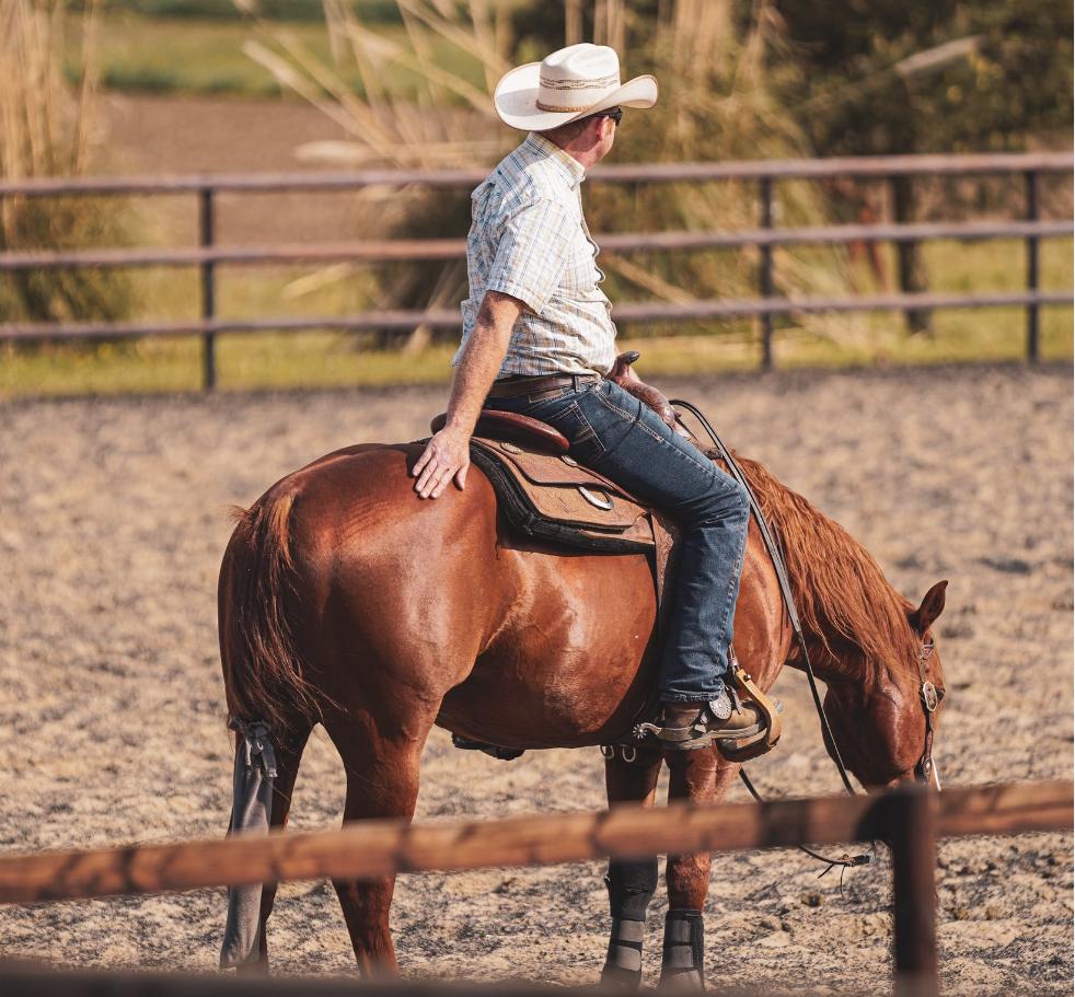 découvrez le reining, une discipline équestre western où cavaliers et chevaux exécutent des figures spectaculaires avec précision et harmonie. informations, conseils et techniques pour débutants et passionnés.