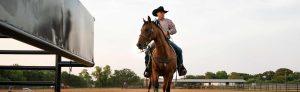 découvrez le reining, une discipline équestre spectaculaire alliant précision, vitesse et harmonie entre le cavalier et son cheval. apprenez les techniques, la préparation et les compétitions de reining pour débutants et passionnés.