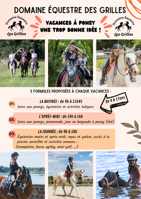 découvrez des activités équestres ludiques pour petits et grands, alliant plaisir, apprentissage et complicité avec les chevaux.