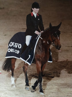 découvrez la carrière remarquable d'alexandra ledermann, icône du monde équestre, et ses nombreux succès en compétition.