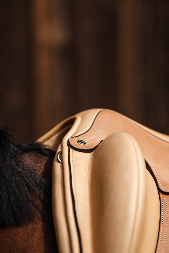 découvrez antarès sellier, symbole d'excellence et de savoir-faire français en sellerie équestre, alliant qualité, artisanat minutieux et innovation pour le confort de votre cheval.