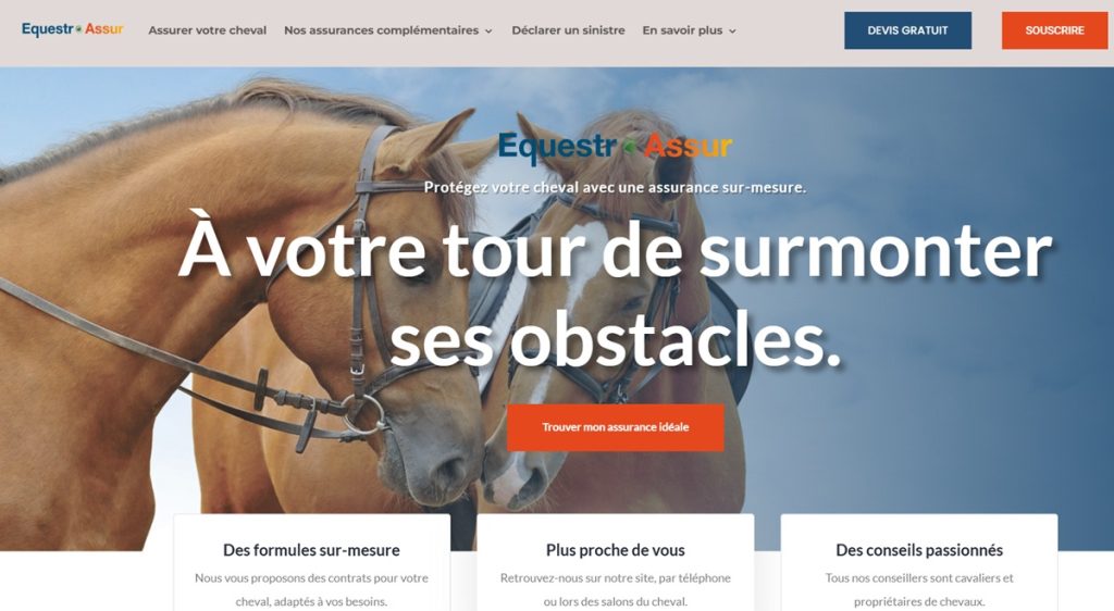 découvrez comment choisir la meilleure assurance pour votre cheval et protégez-le efficacement contre les accidents et les maladies.