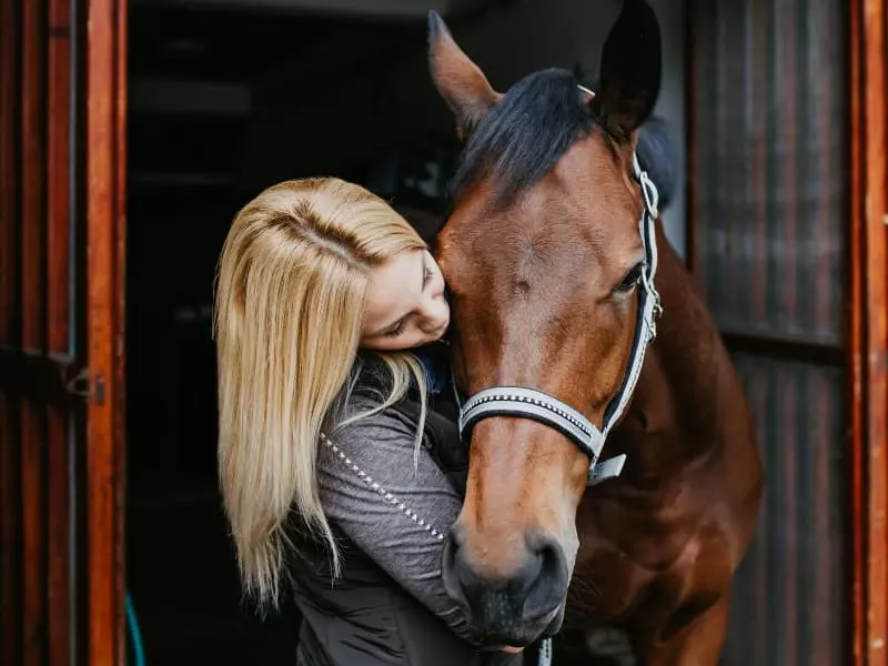 découvrez comment choisir la meilleure assurance pour votre cheval afin de protéger sa santé et votre investissement.