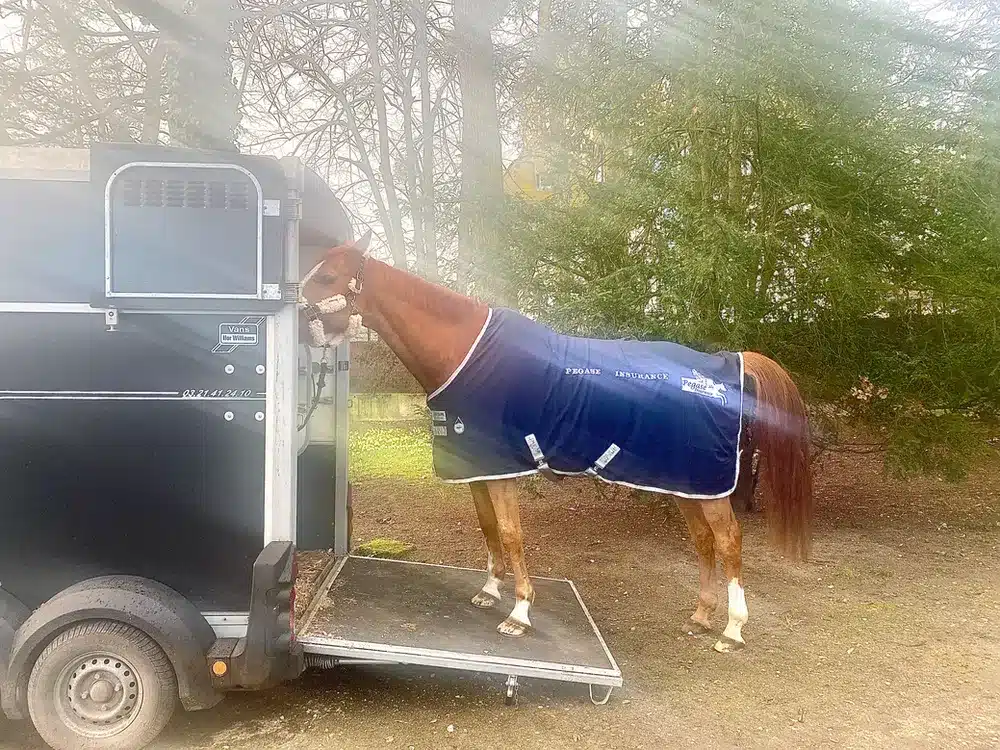 découvrez comment choisir un camion chevaux sécurisé pour assurer le transport confortable et fiable de vos chevaux en toute tranquillité.