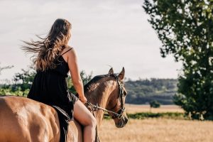 découvrez comment choisir l'écurie idéale pour votre cheval en fonction de ses besoins, de votre budget et de vos attentes, afin d'assurer son bien-être et sa performance.