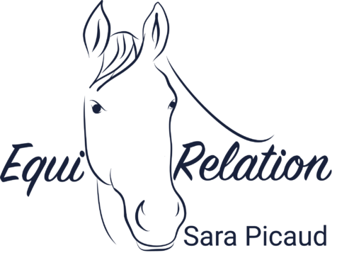découvrez comment choisir l’écurie idéale pour vous et votre cheval grâce à nos conseils pratiques et critères essentiels.
