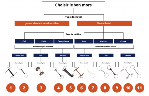 découvrez comment choisir un mors confortable pour votre cheval afin d'assurer son bien-être et une meilleure communication lors de la monte.