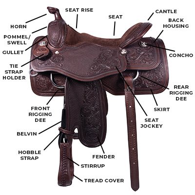 découvrez comment choisir la selle western idéale pour votre cheval, alliant confort, sécurité et performance pour des balades réussies.