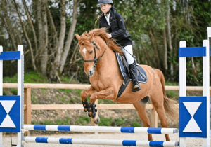 participez ou assistez à un concours de saut d'obstacles : une compétition équestre alliant précision, vitesse et complicité avec le cheval. découvrez les dates, lieux et conseils pour réussir dans cette discipline passionnante.