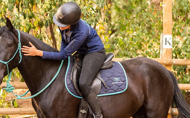 découvrez les étapes clés pour débourrer un cheval en douceur et efficacement, afin d'assurer une relation harmonieuse entre le cavalier et l'animal.