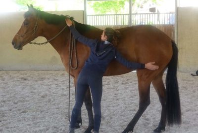 découvrez les étapes clés pour débourrer un cheval efficacement et en toute sécurité, afin d'assurer une bonne relation entre le cavalier et son animal.