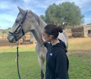 découvrez notre guide complet sur la demi-pension cheval, idéal pour partager la passion du cheval et apprendre à en prendre soin au quotidien.
