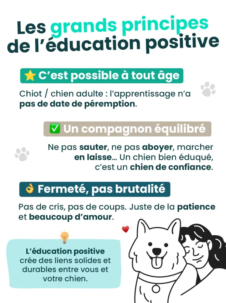 apprenez les meilleures méthodes pour éduquer votre chiot efficacement et instaurer une relation harmonieuse dès ses premiers jours.