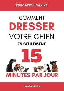 découvrez des méthodes simples et efficaces pour éduquer votre chiot, favoriser son bon comportement et renforcer votre complicité dès les premières semaines.