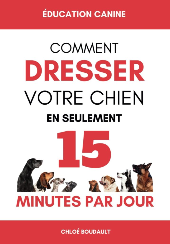 découvrez des méthodes simples et efficaces pour éduquer votre chiot, favoriser son bon comportement et renforcer votre complicité dès les premières semaines.