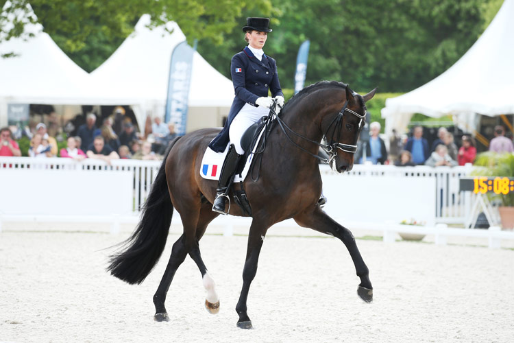 découvrez les disciplines équestres des jeux olympiques 2028 et les favoris qui se disputent les médailles dans chaque catégorie.