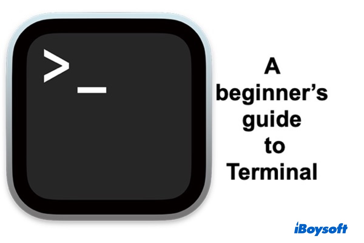 découvrez notre guide des commandes pour débutants : une introduction simple, claire et pratique pour apprendre à utiliser les commandes de base et démarrer facilement.