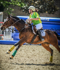 découvrez l'histoire du horse ball, ses règles essentielles et nos conseils pour bien débuter dans ce sport équestre passionnant alliant stratégie et agilité.