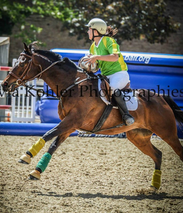 découvrez l'histoire du horse ball, ses règles essentielles et nos conseils pour bien débuter dans ce sport équestre passionnant alliant stratégie et agilité.