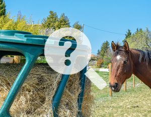 découvrez les différents usages et avantages du horse stop, un équipement essentiel pour le contrôle et la sécurité des chevaux.