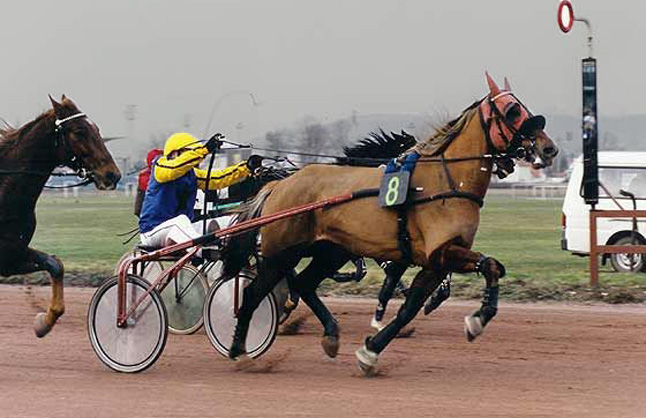 découvrez des astuces et stratégies efficaces pour optimiser vos gains aux courses hippiques et maximiser vos profits en pariant intelligemment.