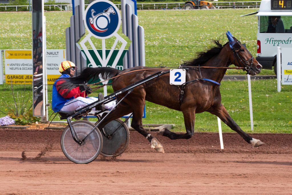 découvrez comment optimiser vos gains aux courses hippiques grâce à des stratégies efficaces, des conseils d'experts et une analyse approfondie des performances des chevaux.