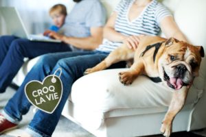 découvrez comment utiliser phosphaluvet chez le chien, ses indications, les précautions à prendre et les conseils pour assurer le bien-être de votre animal lors du traitement.