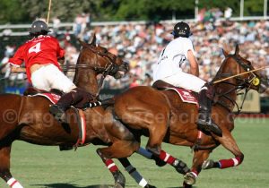 découvrez l'histoire fascinante du polo sport, son évolution à travers le temps et profitez de nos conseils pratiques pour bien débuter ou progresser dans cette discipline élégante.