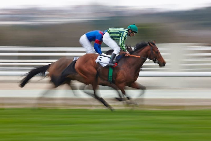 découvrez comment acheter un cheval de course adapté à vos ambitions. conseils d'experts, critères essentiels et astuces pour faire le meilleur choix.