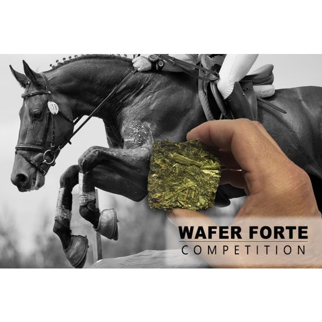 découvrez les avantages des aliments pour chevaux en big bag : stockage pratique, réduction des coûts et qualité préservée.