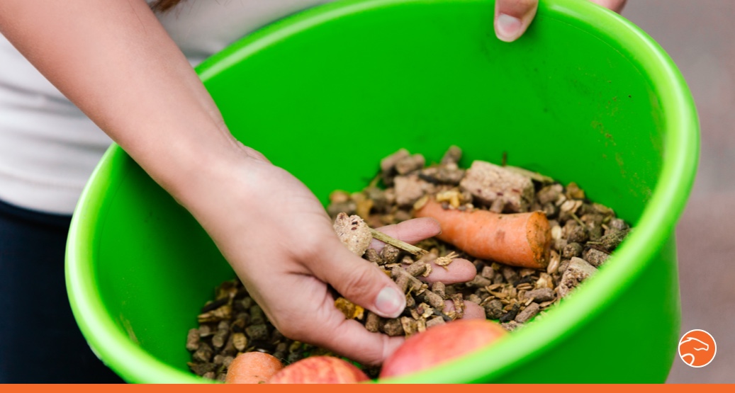 découvrez les nombreux avantages du son de riz pour les chevaux, une source naturelle de fibres, vitamines et minéraux essentiels pour leur santé et leur performance.