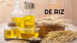 découvrez les avantages du son de riz pour chevaux, un complément naturel riche en nutriments qui favorise la santé digestive, le pelage et la vitalité de votre cheval.