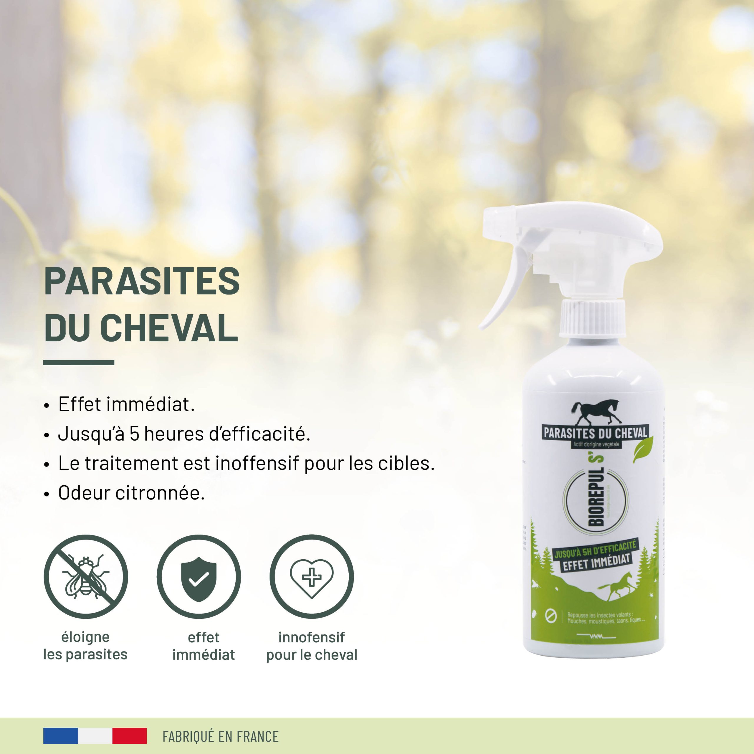 découvrez les usages et précautions du butox pour chevaux afin d’assurer leur santé et leur bien-être. guide complet pour une application sûre et efficace.