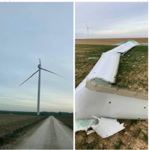 découvrez les chevaux errants près des éoliennes à plouarzel, un spectacle naturel où harmonie et énergie renouvelable se rencontrent en bretagne.