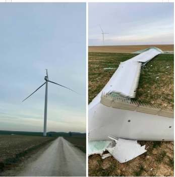 découvrez les chevaux errants près des éoliennes à plouarzel, un spectacle naturel où harmonie et énergie renouvelable se rencontrent en bretagne.