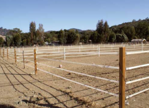 découvrez comment choisir le ruban électrique idéal pour votre clôture de chevaux, alliant sécurité et durabilité pour protéger vos animaux efficacement.