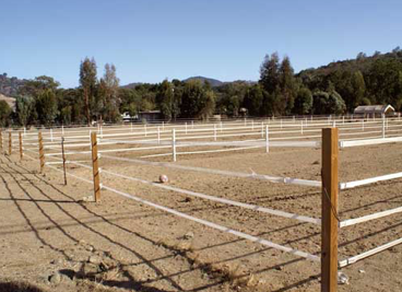 découvrez comment choisir le ruban électrique idéal pour votre clôture de chevaux, alliant sécurité et durabilité pour protéger vos animaux efficacement.
