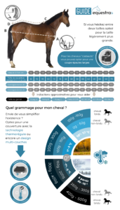 découvrez les avantages des couvertures cheval rambo et profitez de conseils pratiques pour bien choisir et utiliser ces protections de qualité optimale.