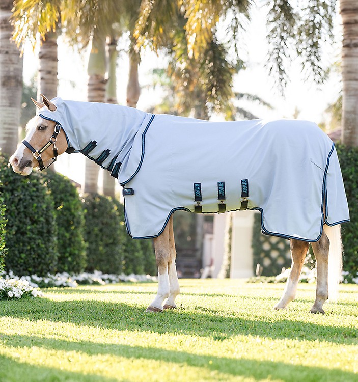 découvrez les avantages d'une couverture cheval rambo et nos conseils pour choisir et entretenir la meilleure protection pour votre cheval.