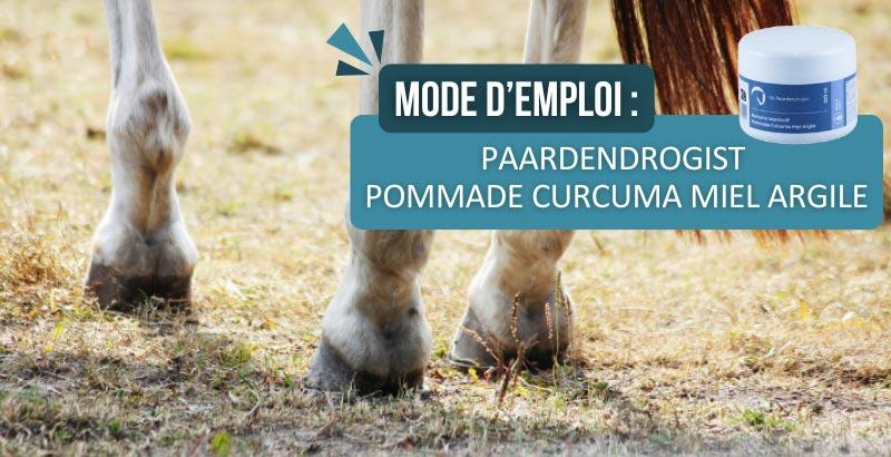 découvrez les bienfaits de l'harpagophytum pour les chevaux et comment l'utiliser efficacement pour soulager leurs douleurs et améliorer leur mobilité.