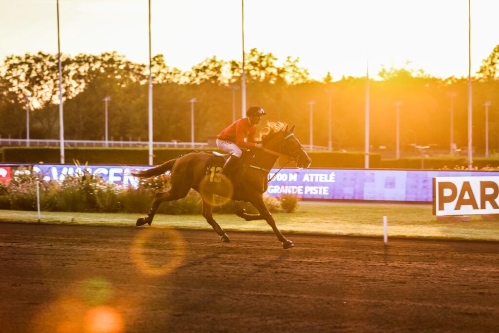 découvrez l'histoire fascinante de l'hippodrome de vincennes et ses événements incontournables, entre courses hippiques et manifestations culturelles.