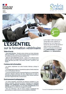 découvrez les parcours pour intégrer une école vétérinaire et les débouchés professionnels offerts dans le secteur animalier.