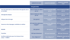 découvrez les critères essentiels pour choisir la meilleure assurance cheval adaptée à vos besoins et protéger votre compagnon au mieux.