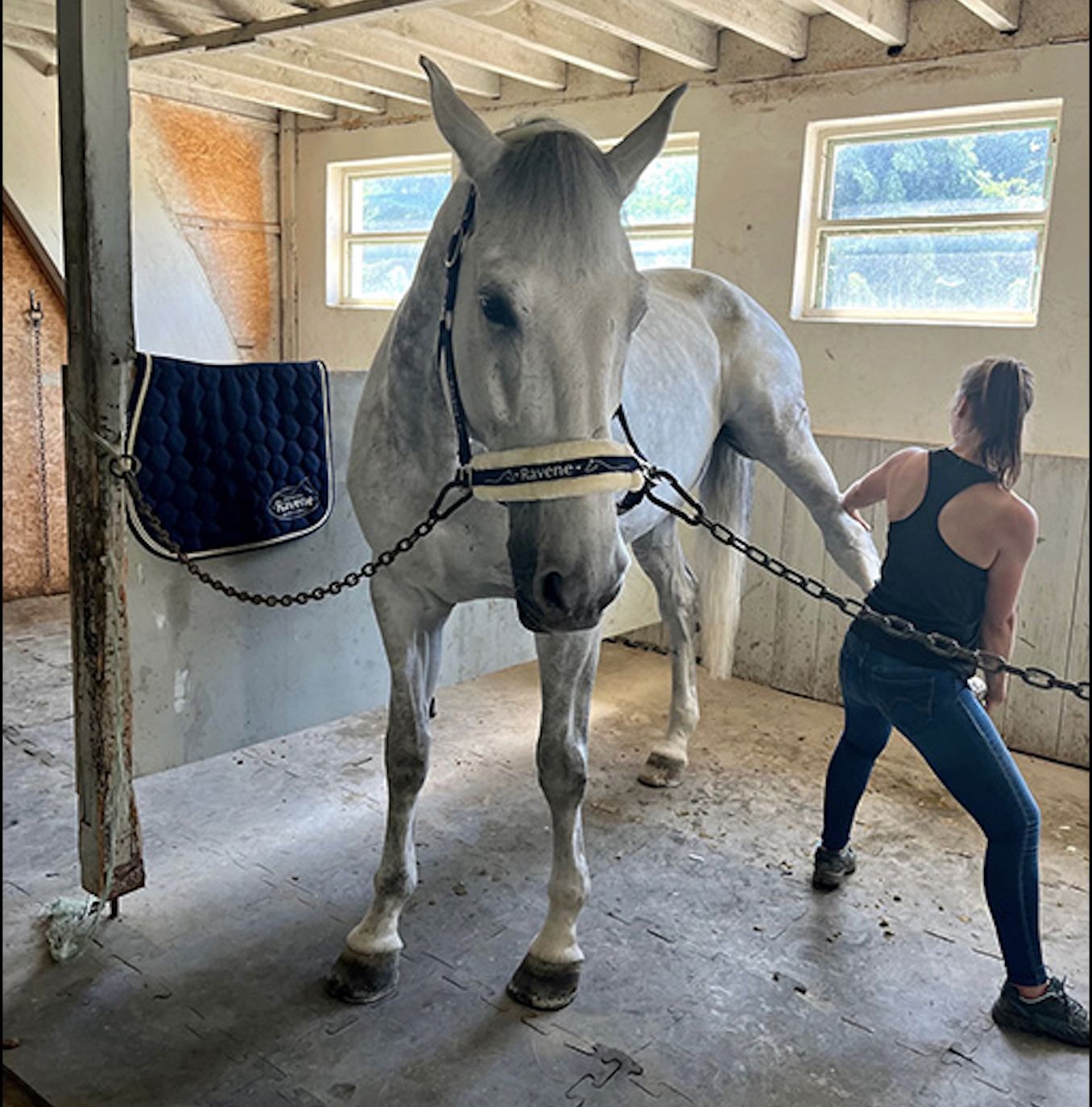 découvrez comment l'ostéopathie équine améliore la santé et la performance de votre cheval grâce à des soins adaptés favorisant mobilité, confort et bien-être.